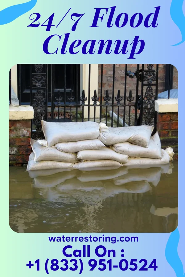 24/7 Flood Cleanup in The Ranch, MN
