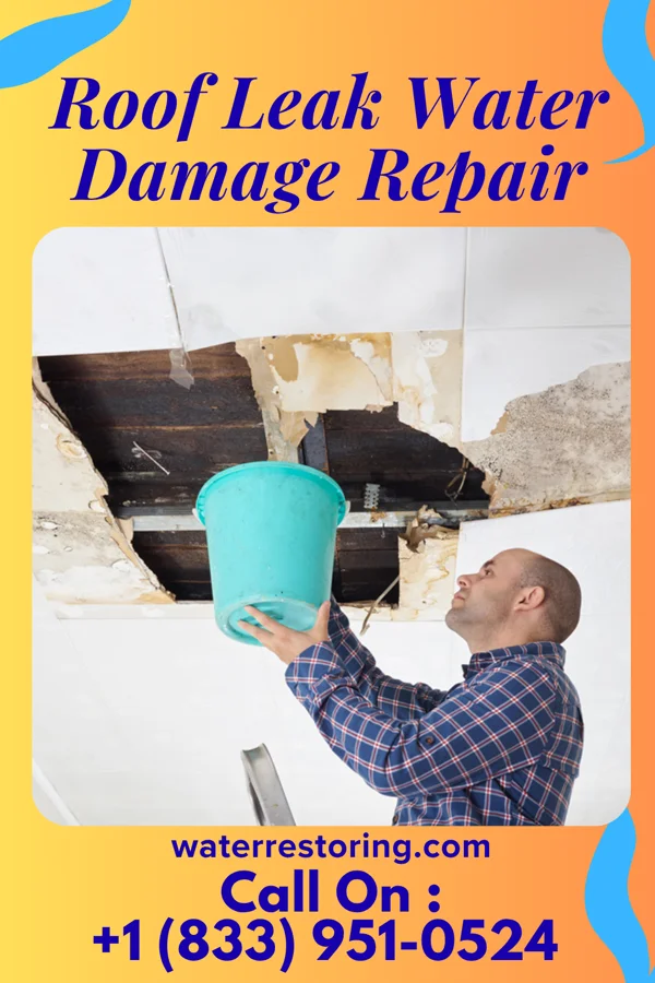Roof Leak Water Damage Repair in The Ranch, MN